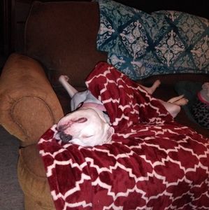 Meet your Posher, Scott